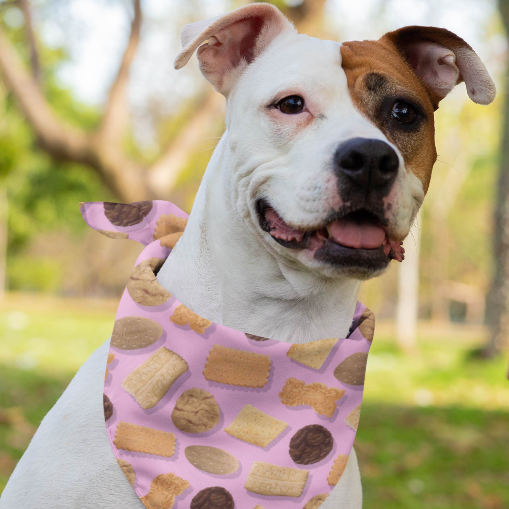 Biscuit Variety Pack (Pink) by The Colour Collab