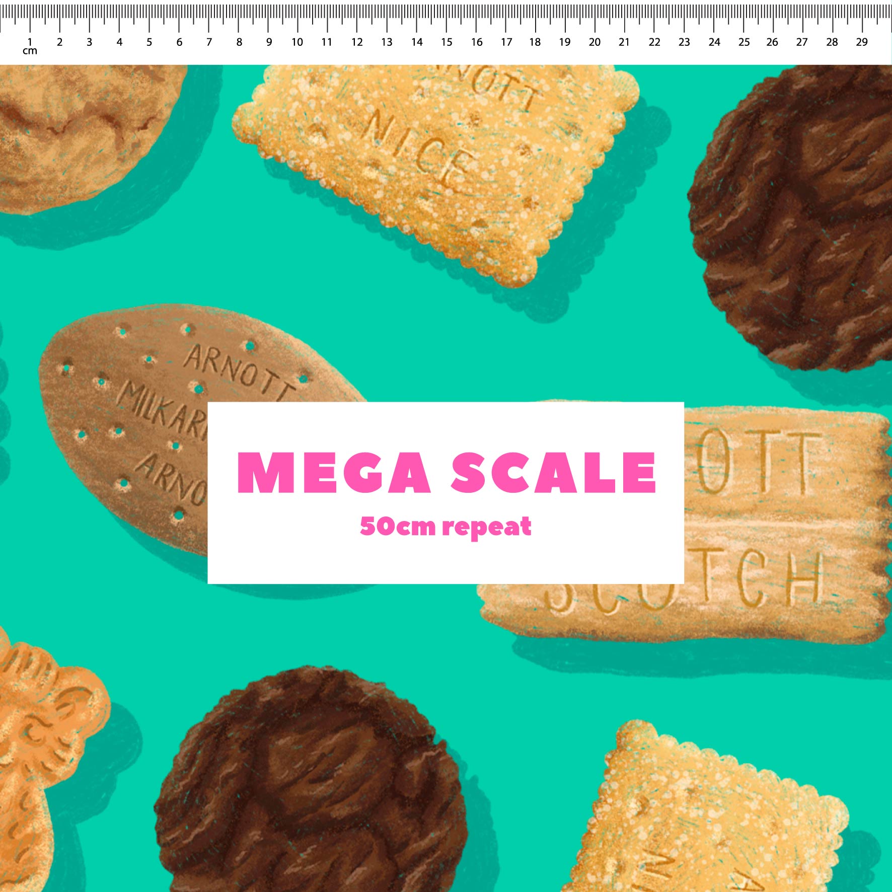 Biscuit Variety Pack (Teal) by The Colour Collab