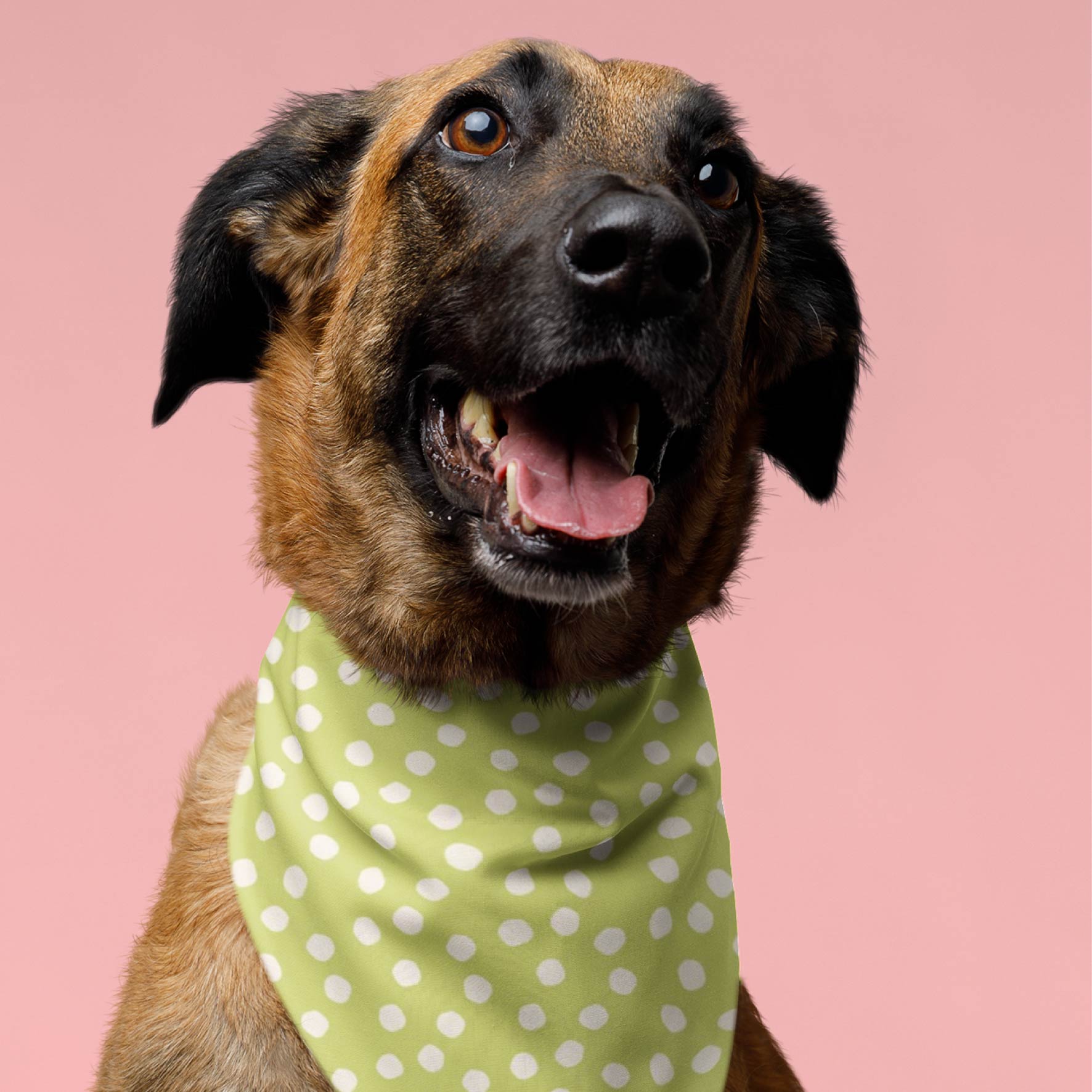 Dotty (Lime/Cream) Preorder Fabric by New Kid Club