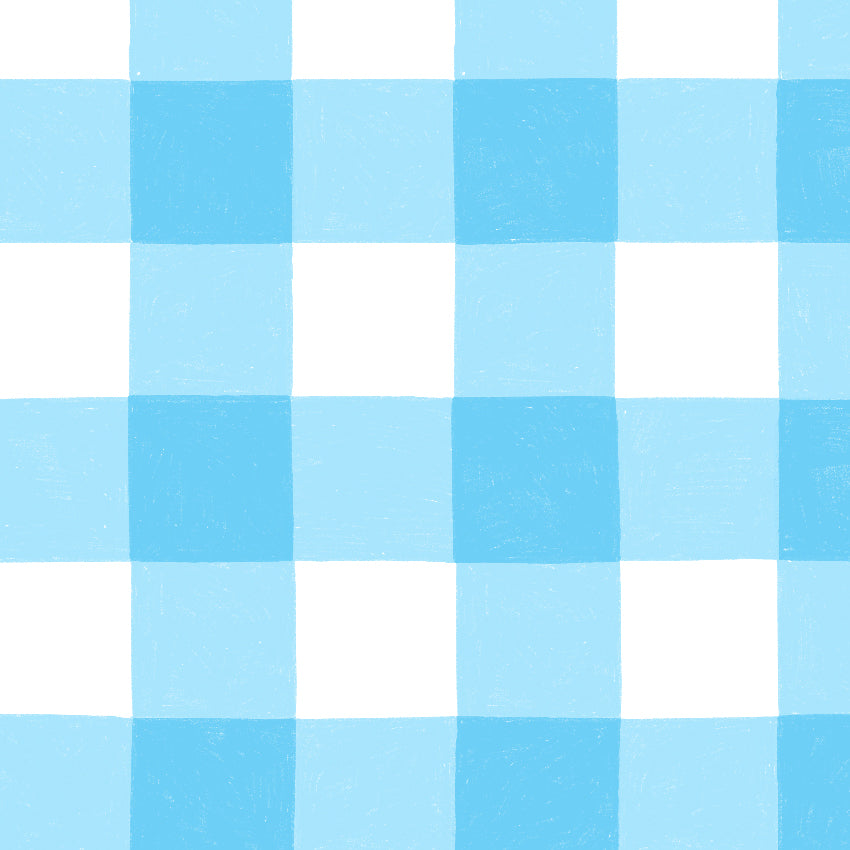 Preorder: Gingham (Light Blue)