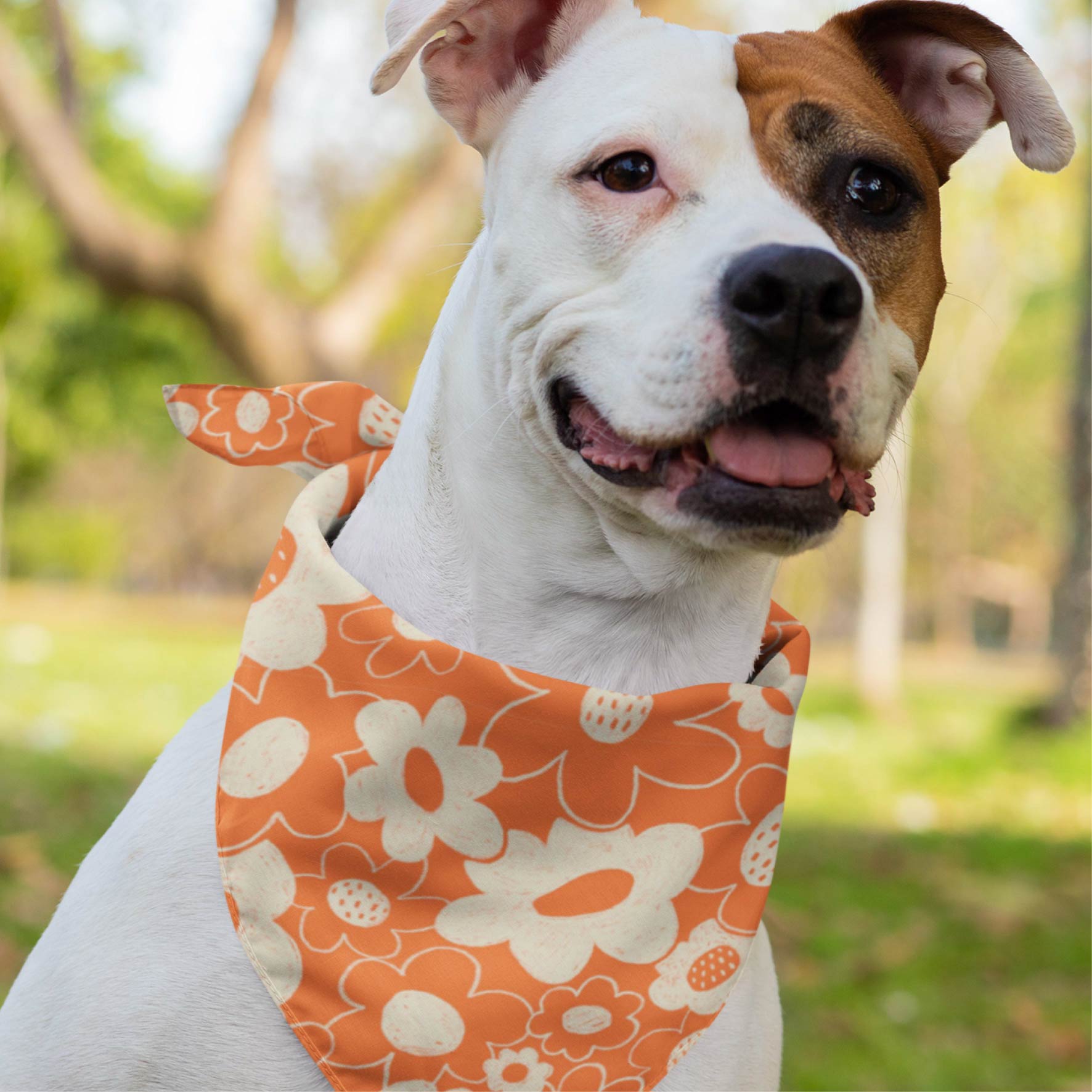 Preorder: Monochrome Blooms (Orange)