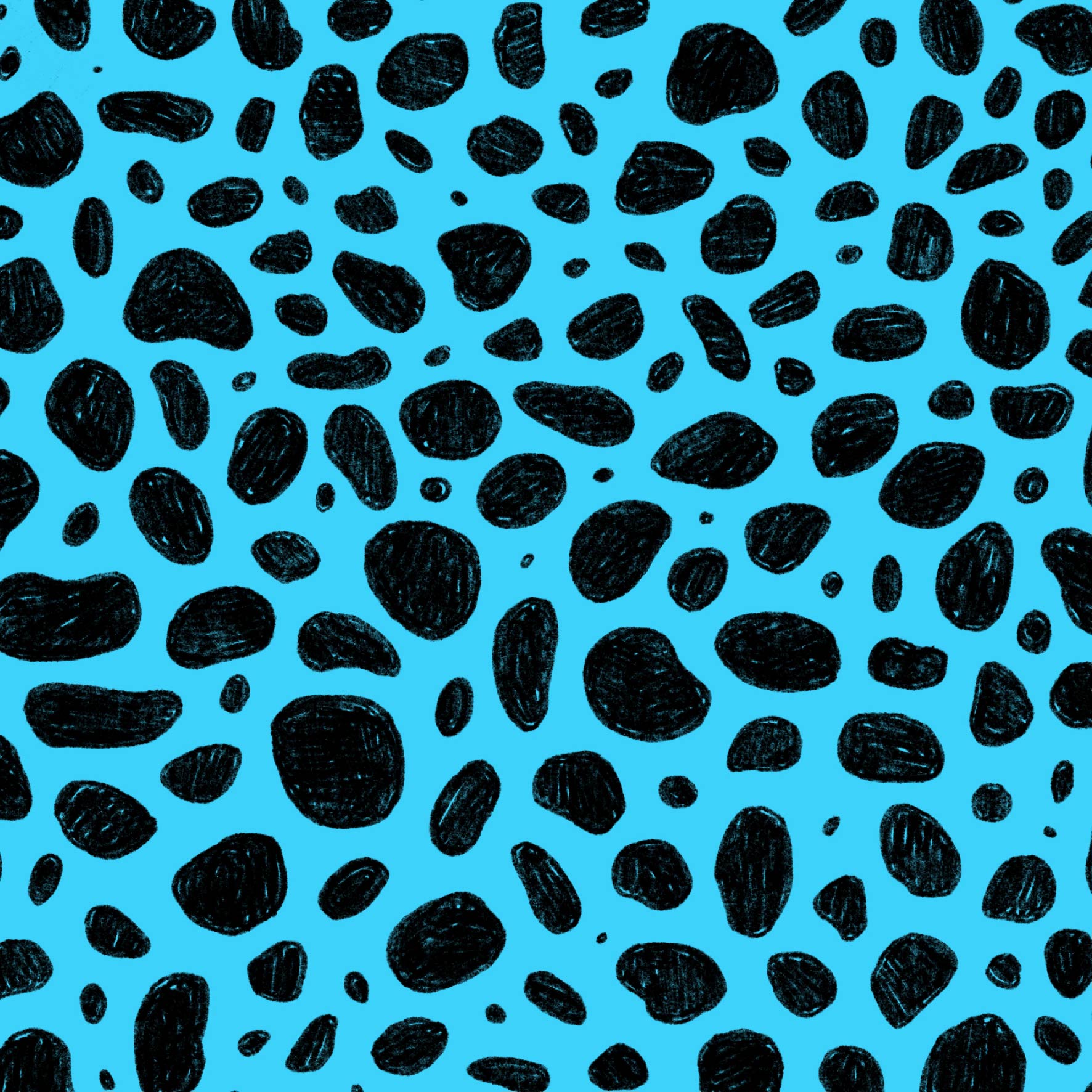 Preorder: Rock Pool (Black on Light Blue)