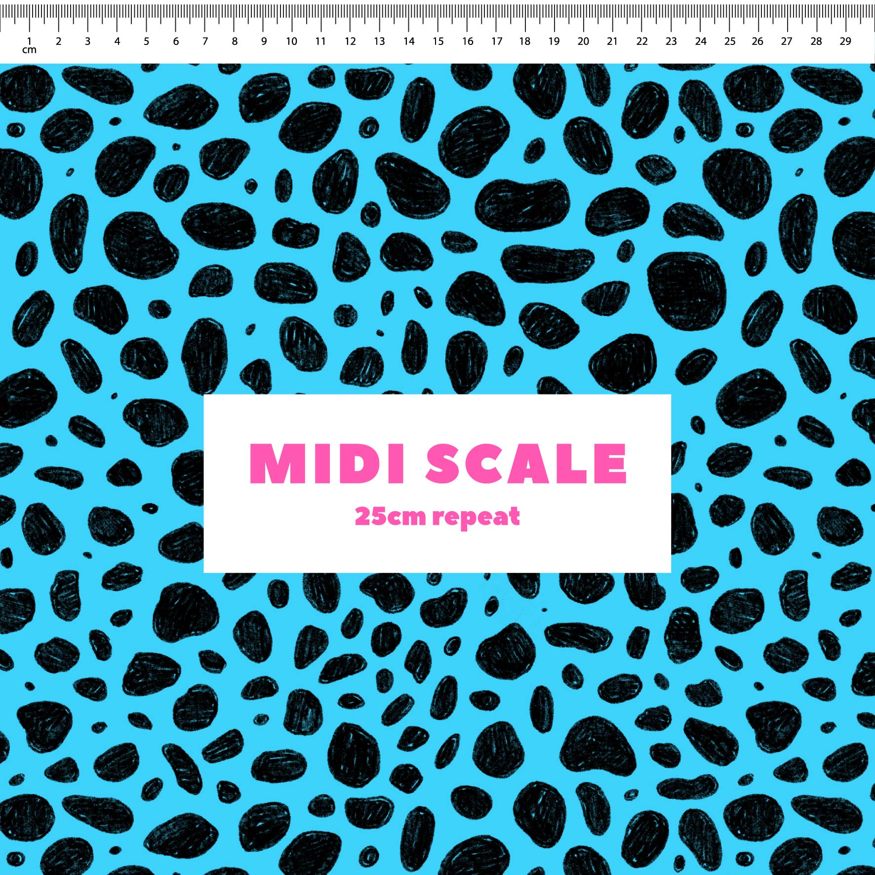 Preorder: Rock Pool (Black on Light Blue)