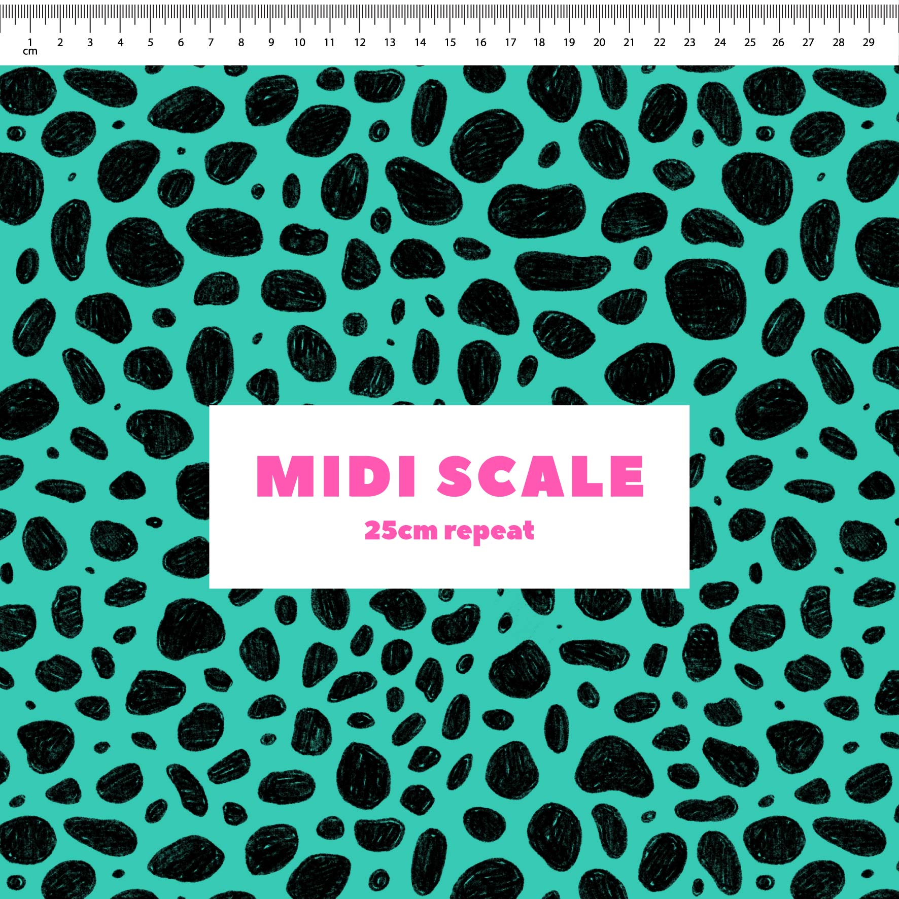 Preorder: Rock Pool (Black on Teal)