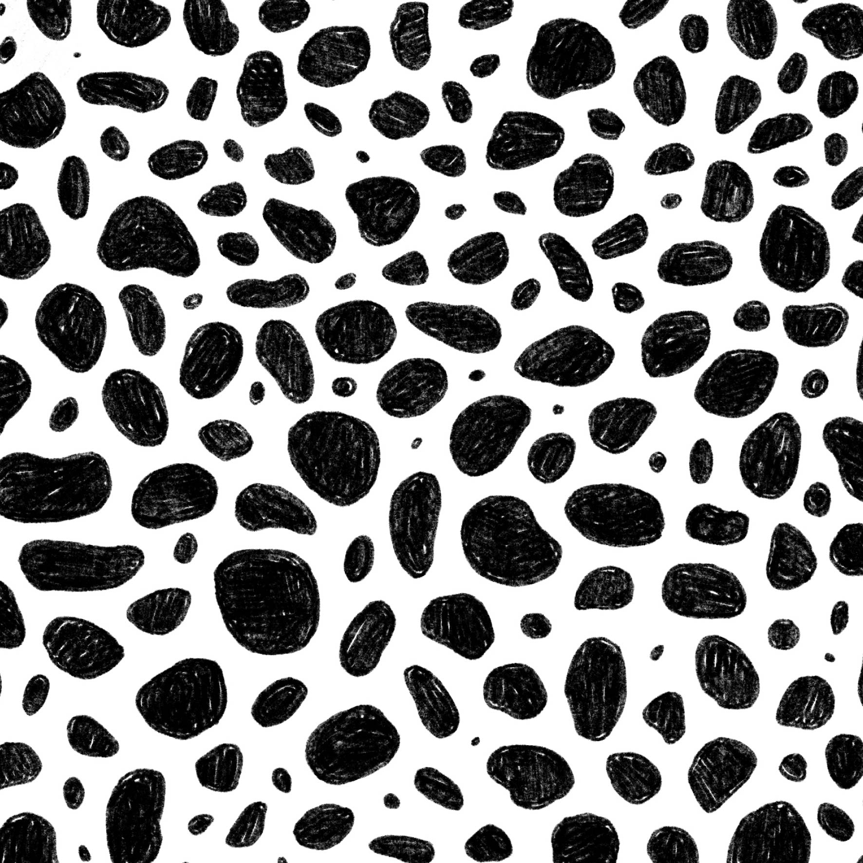 Preorder: Rock Pool (Black on White)