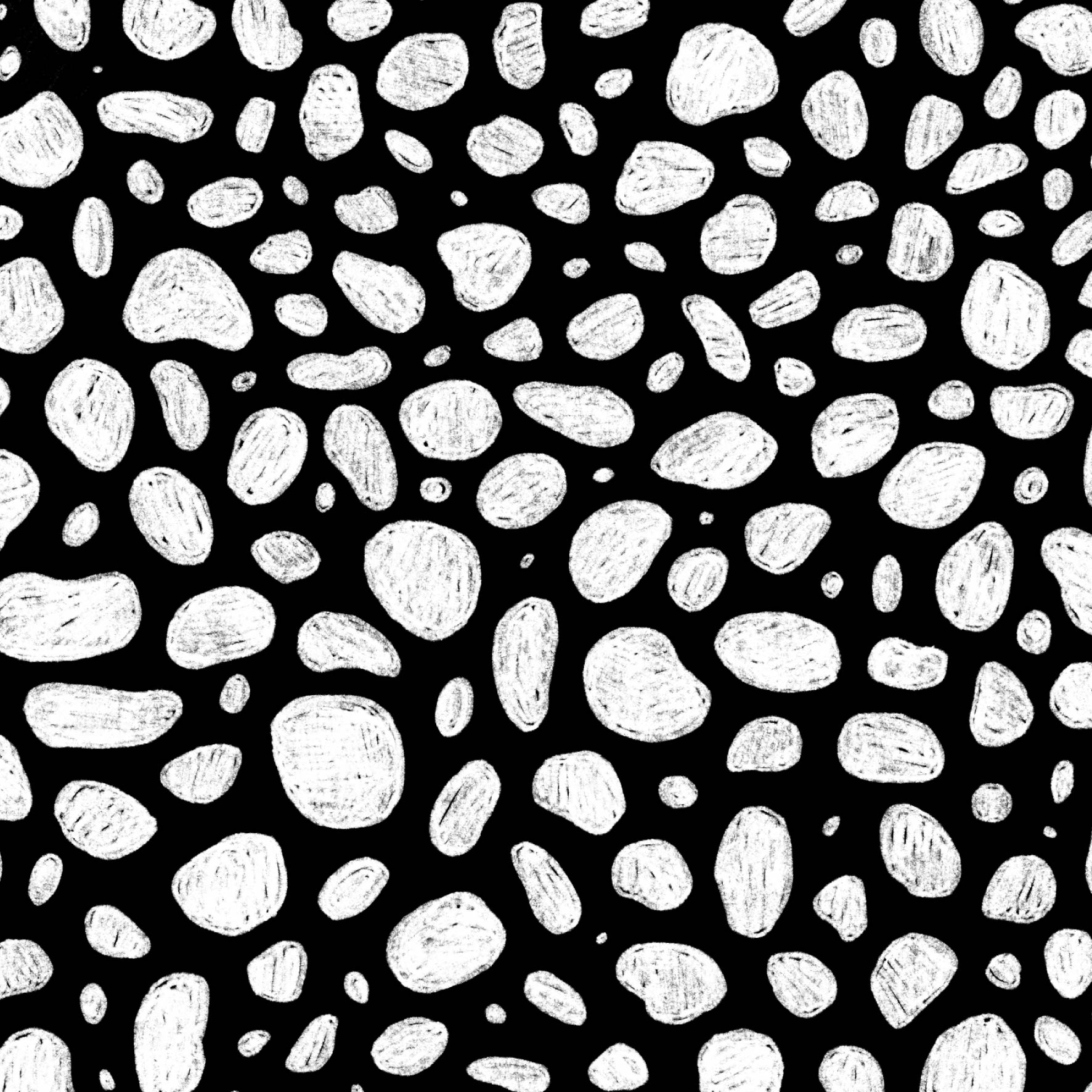 Preorder: Rock Pool (White on Black)